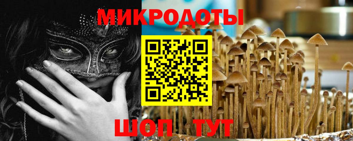 Псилоцибиновые грибы Psilocybe  Вход с VPN  Дзержинский 